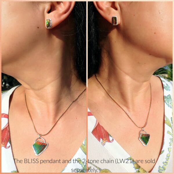 Blyde Ear studs earrings Ammolite organic gemstone natural dragon skin quality mixed metals 14K gold sterling silver artisan