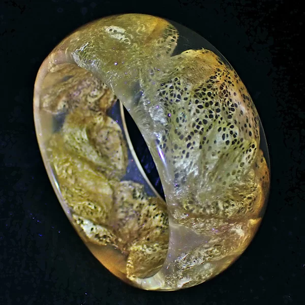 62WC_2 Wide convex bangle resin wild silk cocoons Cricula natural color handmade